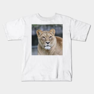 Lion 004 Kids T-Shirt